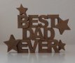 000203 BEST DAD EVER